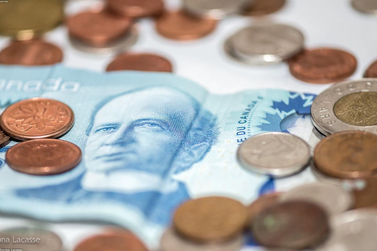 Working Capital Loan